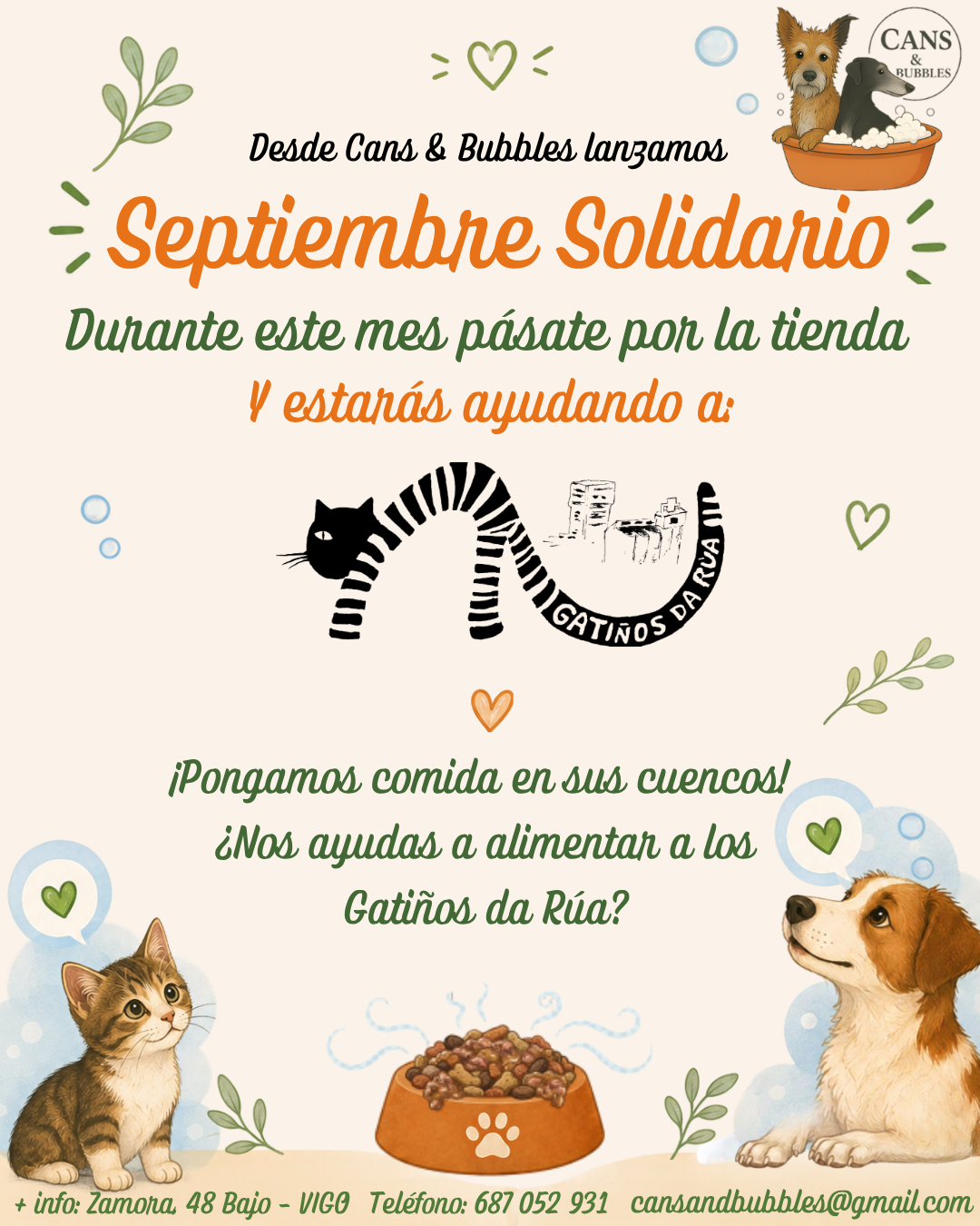 Mes solidario: Septiembre con "Gatiños da Rúa"
