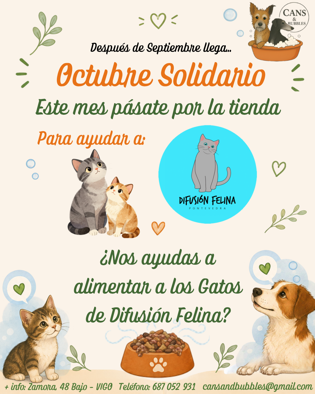 Mes solidario: Octubre con "Difusión Felina"